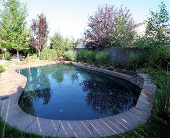 <div class='closebutton' onclick='return hs.close(this)' title='Close'></div><div class='firstH'><img src='/images/logo-white-small.png'></div><h1>Gunite Pool</h1><p>Gunite Pool #031 by Aquatech Pools by CHI</p><div class='getSocial'><h1>Share</h1><p class='photoBy'>Photo by Aquatech Pools by CHI</p><iframe src='http://www.facebook.com/plugins/like.php?href=http%3A%2F%2Fchipool.com%2Fimages%2Fgalleries%2Fgunite-pools%2Fwm%2Fgunite-pool-by-aquatech-pools-by-chi-031.jpg&send=false&layout=button_count&width=100&show_faces=false&action=like&colorscheme=light&font&height=21' scrolling='no' frameborder='0' style='border:none; overflow:hidden; width:100px; height:21px;' allowTransparency='true'></iframe><br><a href='http://pinterest.com/pin/create/button/?url=http%3A%2F%2Fwww.chipool.com&media=http%3A%2F%2Fwww.chipool.com%2Fimages%2Fgalleries%2Fgunite-pools%2Fwm%2Fgunite-pool-by-aquatech-pools-by-chi-031.jpg&description=Pools' data-pin-do='buttonPin' data-pin-config='above'><img src='http://assets.pinterest.com/images/pidgets/pin_it_button.png' /></a></div>